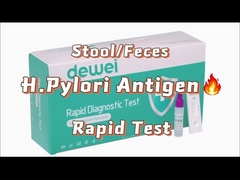 H-Pylori-Antikörper-Antigentest-Kassette Vollblutserum Plasma Ein Schritt