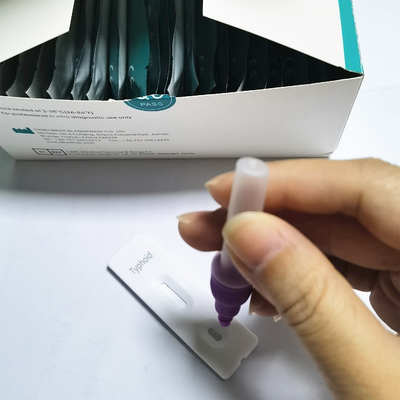 Typhoid Fever IgG/IgM Detection Whole blood/Serum/Plasma Colloidal Gold Rapid Test