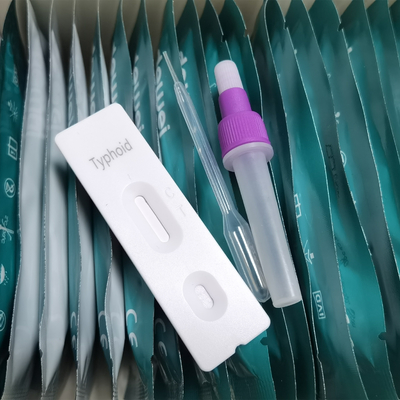 Wholesale Factory Price Salmonella Typhi Typhoid Rapid Antigen Test Kit