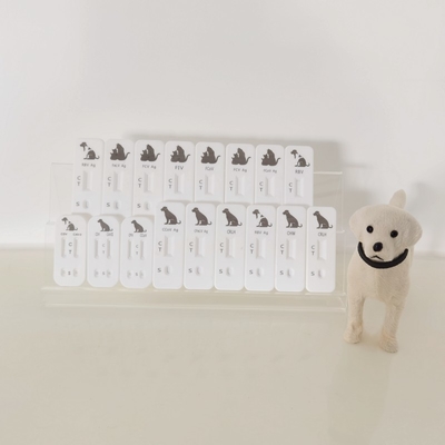 Canine Distemper Virus Antigen CDV AG Rapid Test Kit Result Reading Time 10-15 Mins