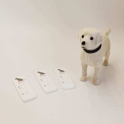 Canine Adenovirus-II (CAV II ) Antigen Rapid Test Veterinary Rapid Diagnostic Test Kit