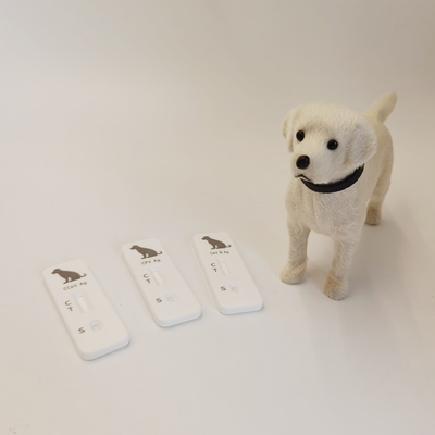 Canine Adenovirus-II (CAV II ) Antigen Rapid Test Veterinary Rapid Diagnostic Test Kit