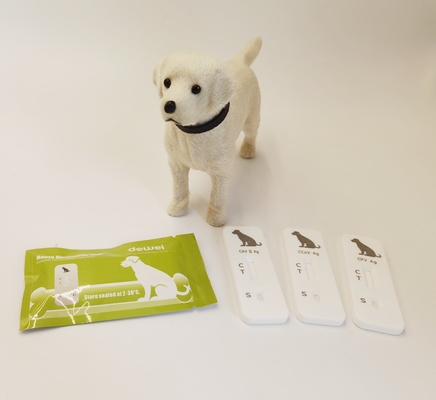 Convenient Canine Parvovirus CPV Antigen Rapid Test Veterinary Diagnostic Tool with ISO Certification
