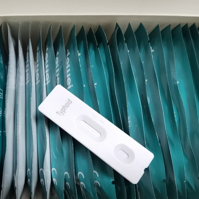 Typhoid Fever IgG/IgM Detection Whole blood/Serum/Plasma Colloidal Gold Rapid Test