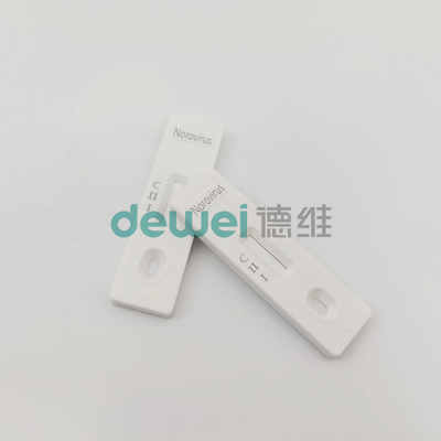 Fast and Accurate Stool Norovirus Antigen Detection with Noro Quick Test Format Cassette