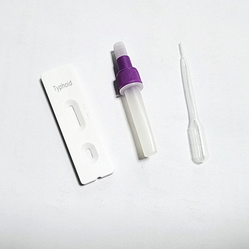 Wholesale Factory Price Salmonella Typhi Typhoid Rapid Antigen Test Kit